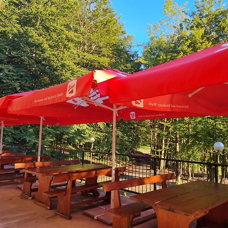 Great Mountain B&B Platak Εξωτερικό φωτογραφία