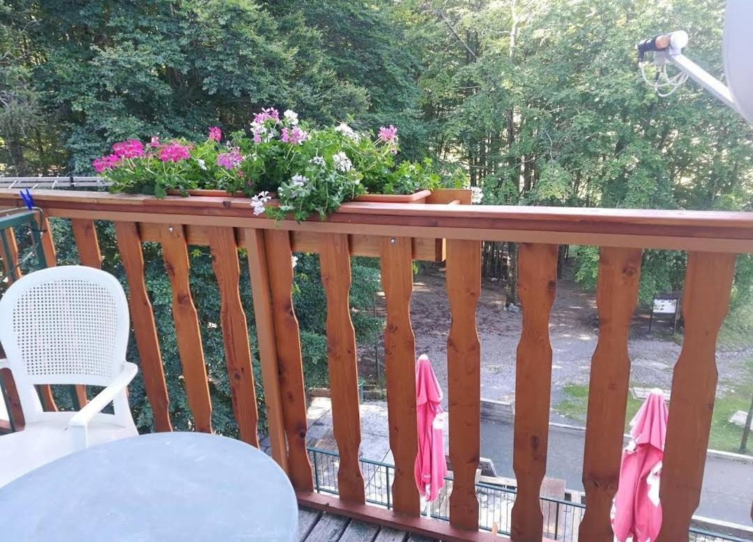 Great Mountain B&B Platak Εξωτερικό φωτογραφία
