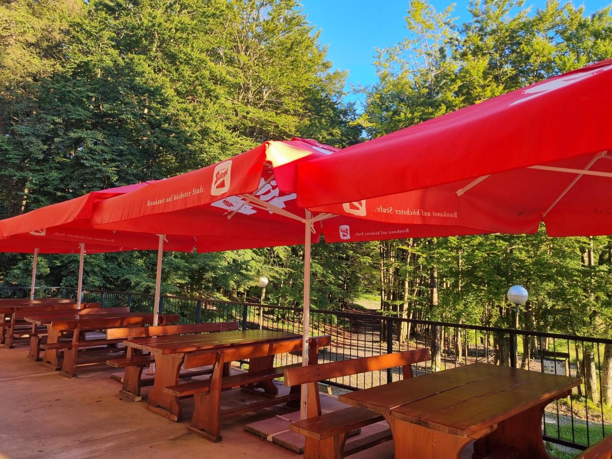 Great Mountain B&B Platak Εξωτερικό φωτογραφία