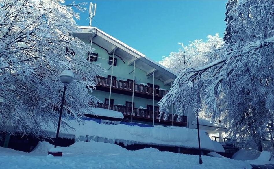 Great Mountain B&B Platak Εξωτερικό φωτογραφία